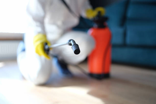 Mold Remediation for Rental Properties in Hillsdale, NJ